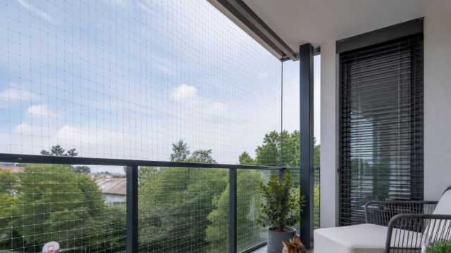 Katzenschutz für Fenster & Balkon in Berlin